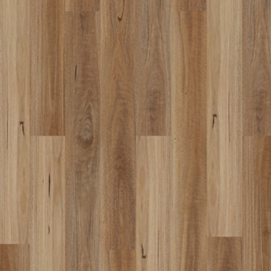 Authentic Hybrid Spotted Gum 1830x183x7mm