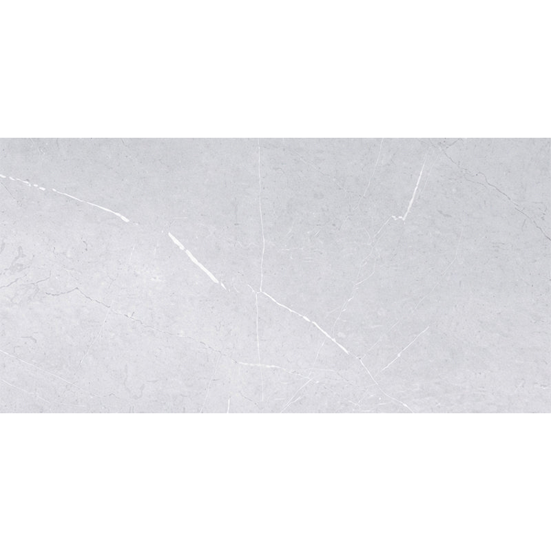 BRESCIA LIGHT GREY MATT 300x600