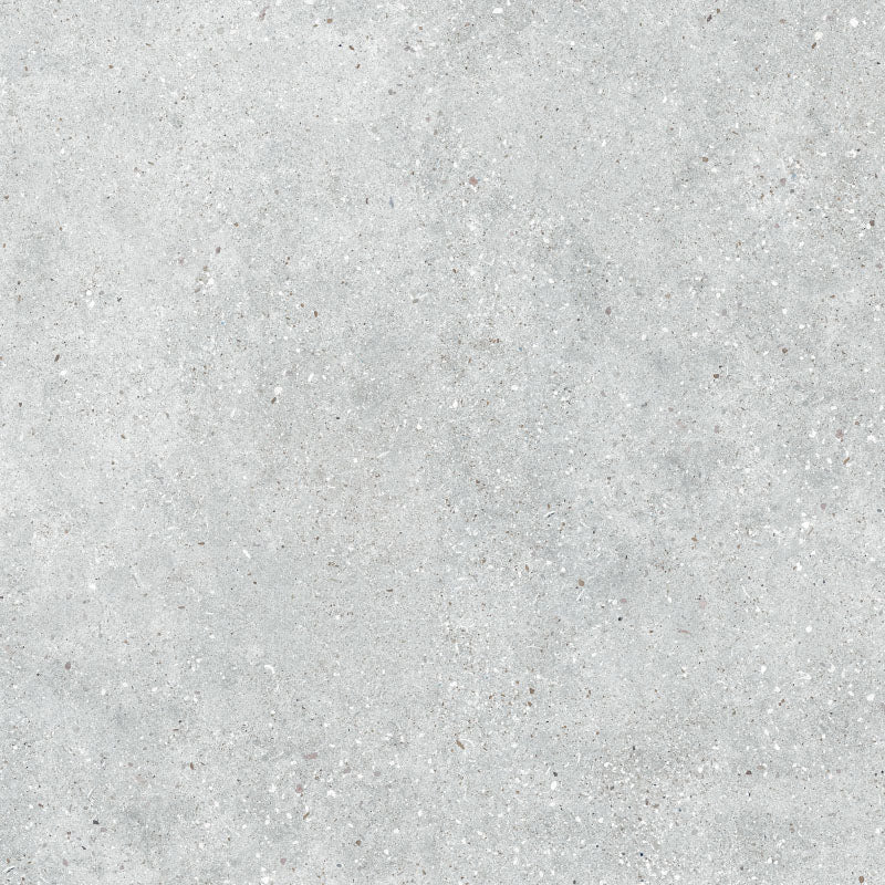 Entiva Beton Silver Matt 450x450