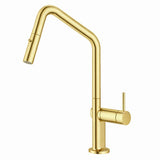 Navona Carysil Angle Pull out Kitchen Mixer Brushed Gold