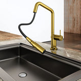 Navona Carysil Angle Pull out Kitchen Mixer Brushed Gold