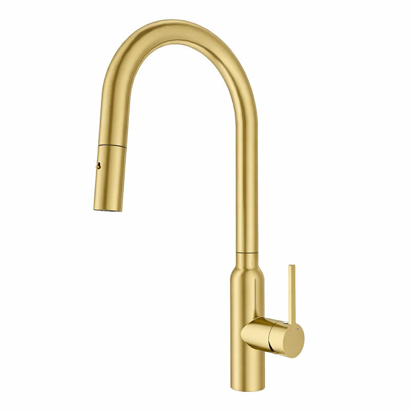 Navona Carysil Round Pull out Kitchen Mixer Brushed Gold
