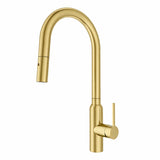 Navona Carysil Round Pull out Kitchen Mixer Brushed Gold
