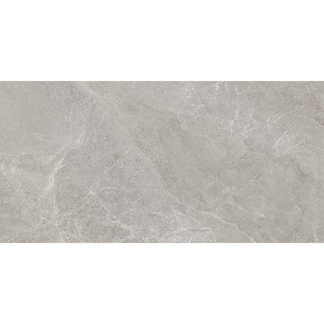 CAPRI Earl Grey 60x120 SurfaceTec