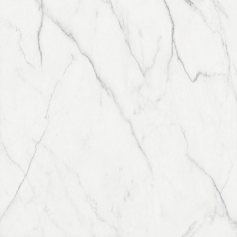 Calacatta Deluxe Super White 60x60 Honed