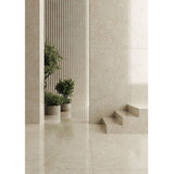 Crema Marfil Ivory 60x120 Matt