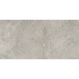 Cosmic Silver 30x60 Grip