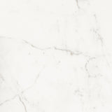 Calacatta Warm 60x60 Honed
