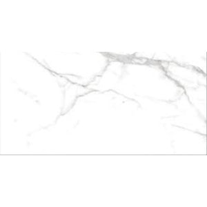 Carrara Polished 300x600