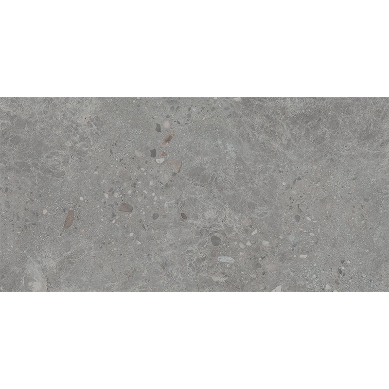 Dawn Coal 30x60 Matt