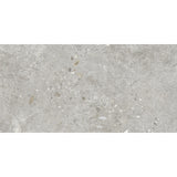 Dawn Silver 30x60 Matt