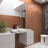 WADI TERRA MATT 60X300MM