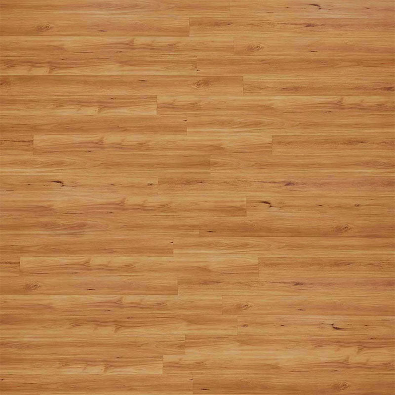 Laminate Flooring Eucalyptus Steps XL Blackbutt 2290x194x12mm