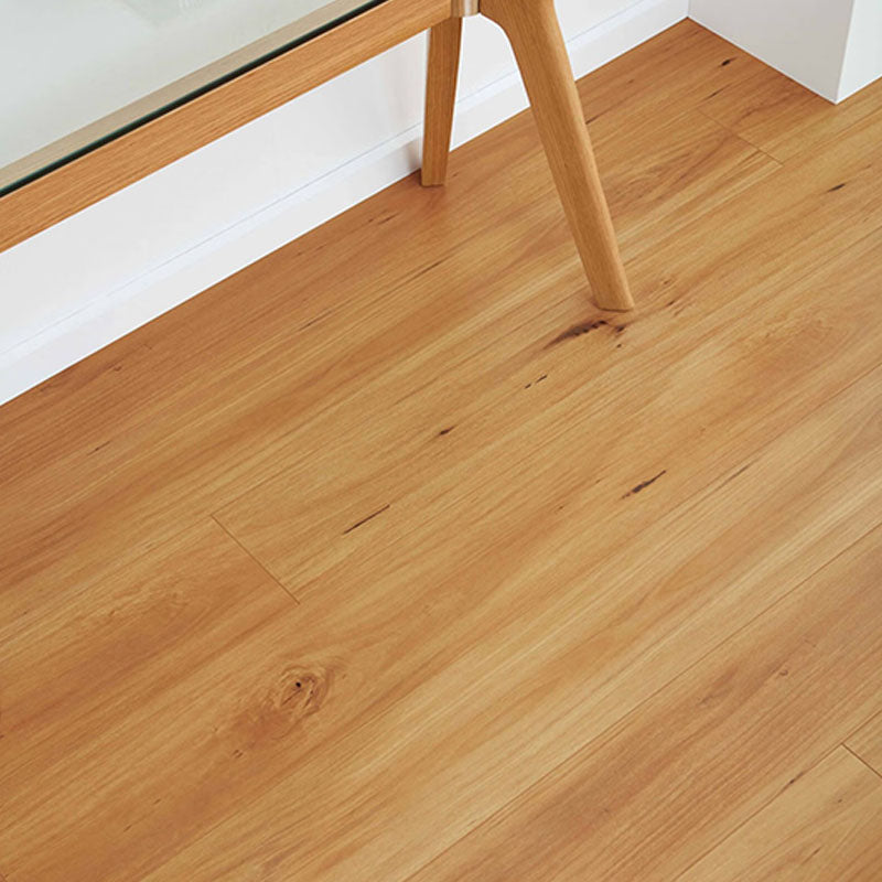 Laminate Flooring Eucalyptus Steps XL Blackbutt 2290x194x12mm