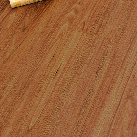Laminate Flooring Eucalyptus Steps XL Spotted Gum 2290x194x12mm