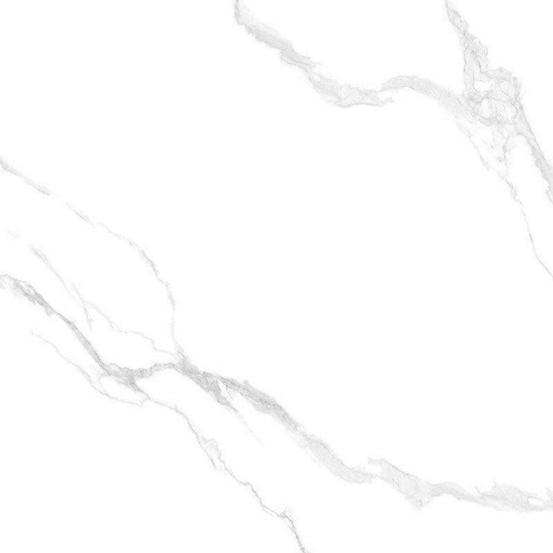 Entiva Carrara Matt Rec 600x600mm