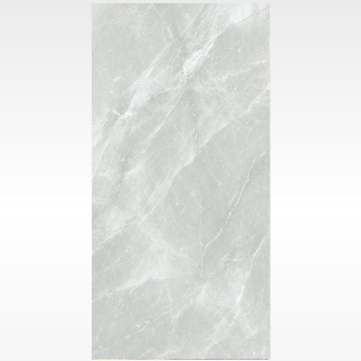 Fg Silver Matt 300x600