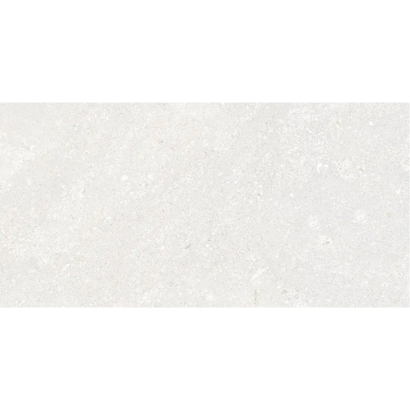 FOSILIME WHITE MATT 600X1200