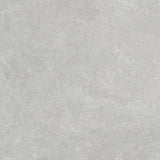 FOSILIME GREY MATT 600X600