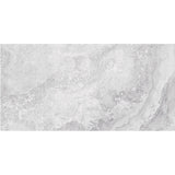 Galaxy Grey 30x60 SurfaceTec