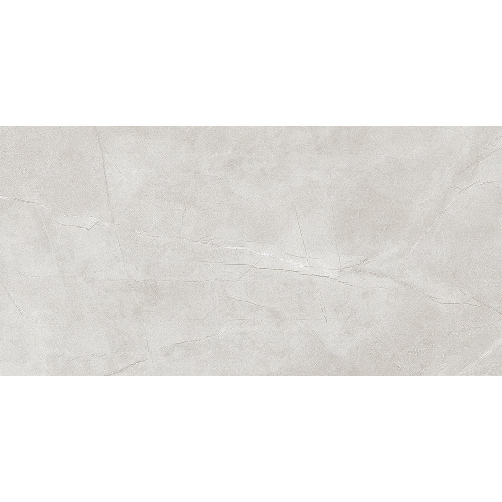 Gris Stone Mid Grey Matt 300x600