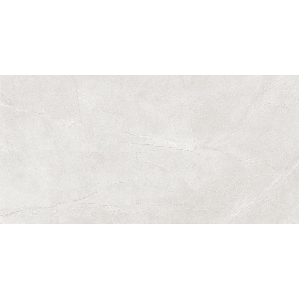 Gris Stone Light Grey Polished 300x600