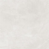 Gris Stone Light Grey Polished 600x600