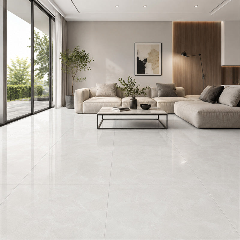 Gris Stone Light Grey Polished 600x600