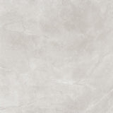 Gris Stone Mid Grey Polished 600x600