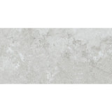 HERMAN ASHWOOD MATT 300X600