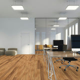 Australian Hardwood Premier Grade Spotted Gum 1900x136x14/3mm