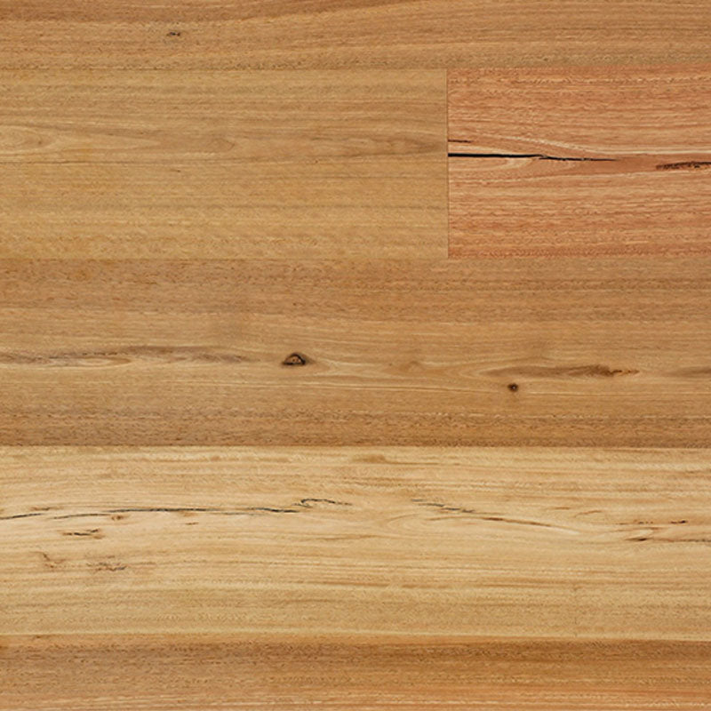 Australian Hardwood Feature Grade Spotted Gum 1900x190x14/3mm