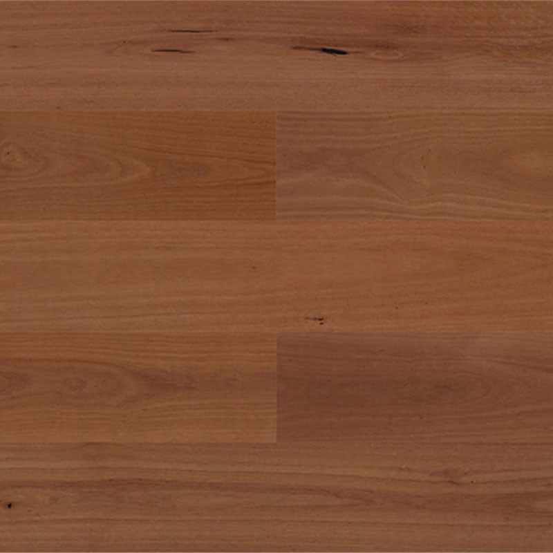 Australian Hardwood Premier Grade Sydney Blue Gum 1900x190x14/3mm