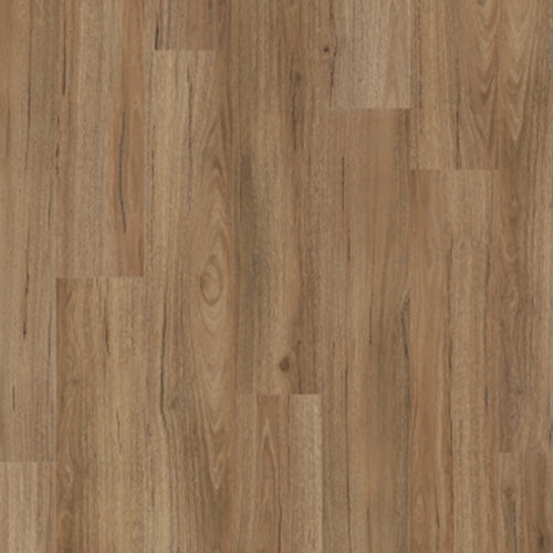 Hybrid Coastal Spotted Gum 1830x230x7mm