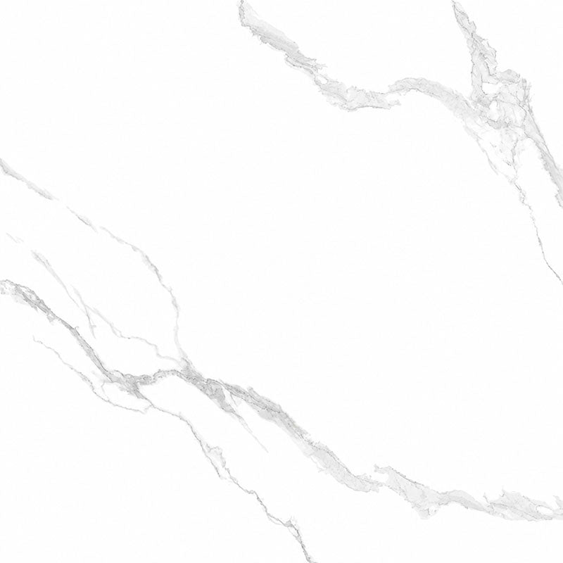 Entiva Illinois Carrara Matt 600x600 Rec.