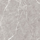Entiva Illinois Dark Grey Polished 600x600 Rec.