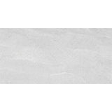 Entiva Illinois Light Grey Polished 300x600 Rec.