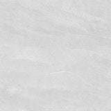 Entiva Illinois Light Grey Polished 600x600 Rec.