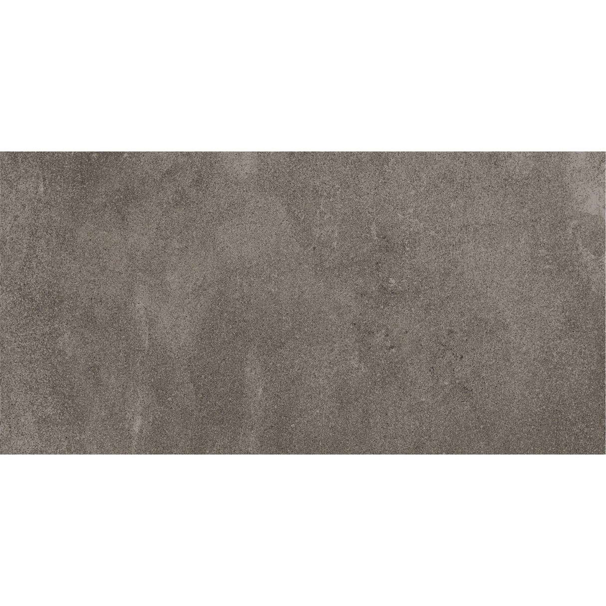 Entiva Concrete Mid Grey Matt Rec 300x600mm