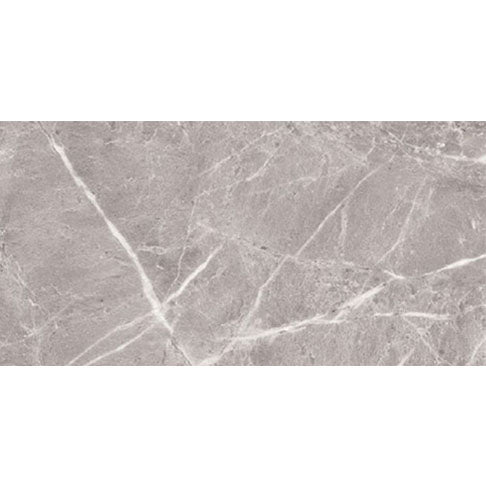 Entiva Illinois Dark Grey Polished 300x600mm