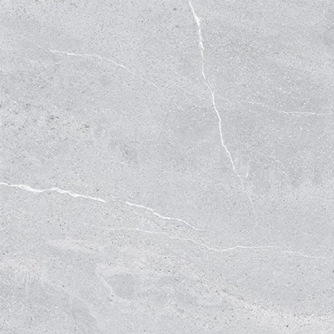 Entiva Illinois Light Grey Polished 600x600mm