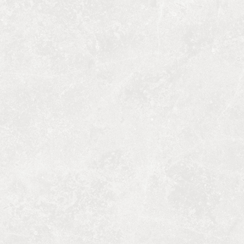 Tesla White Polished 600x600