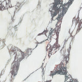 Kaolin x Greg Natale Calacatta Viola 60x60 SilkTec