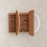 LED Amber Collection Oval Shaving Cabinet Rosewood 1200x750x145mm