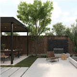 Limestone Luna 30x60 External
