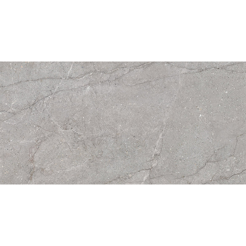 Entiva Meta Stone Grey P4 Matt 300x600 Rec
