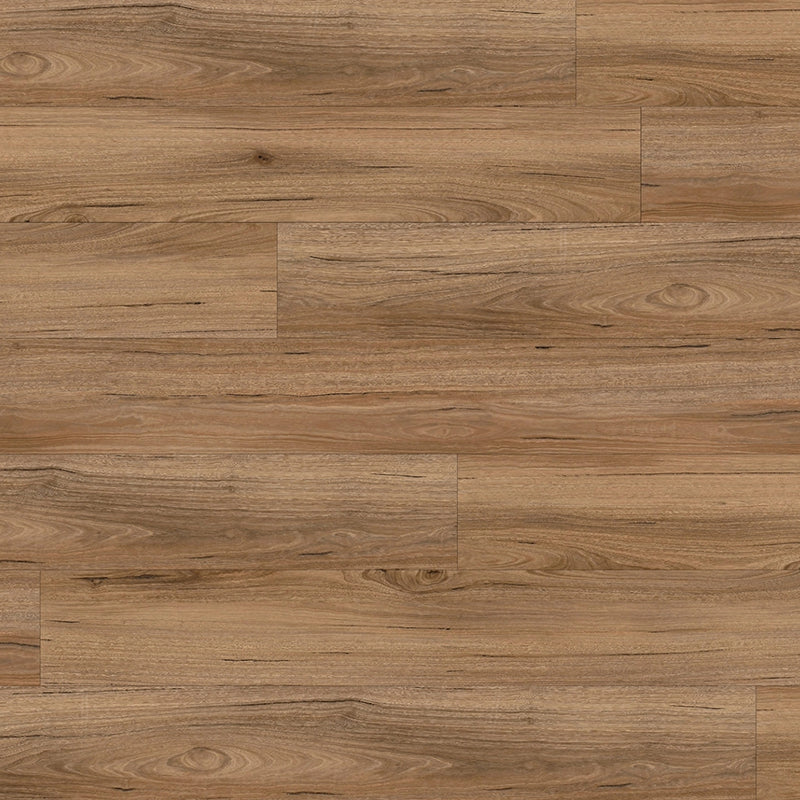 Classic Hybrid Mountain Spotted Gum 1530x183x5.5mm