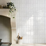 Newport White Gloss 62.5x125mm