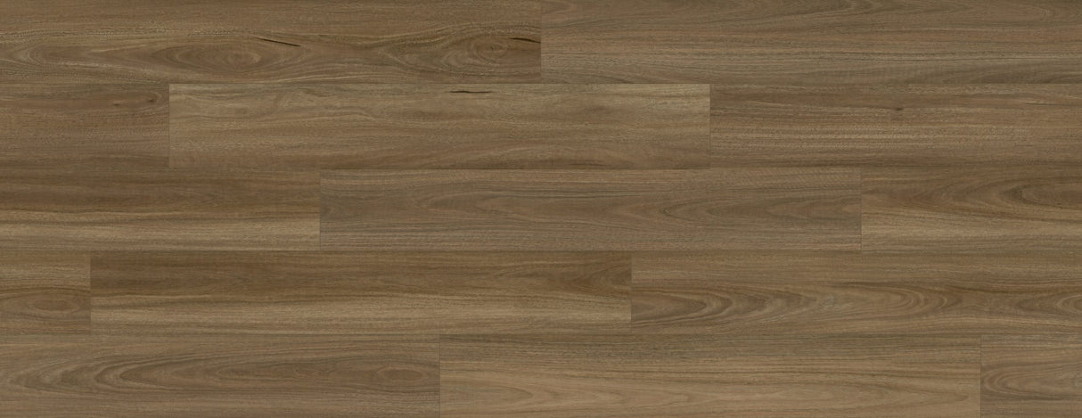 Laminate Spotted Gum 1518(L)x235(W)x12(T)