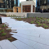 Granite New Grey Flamed Bevelled Edge 600x230x20mm
